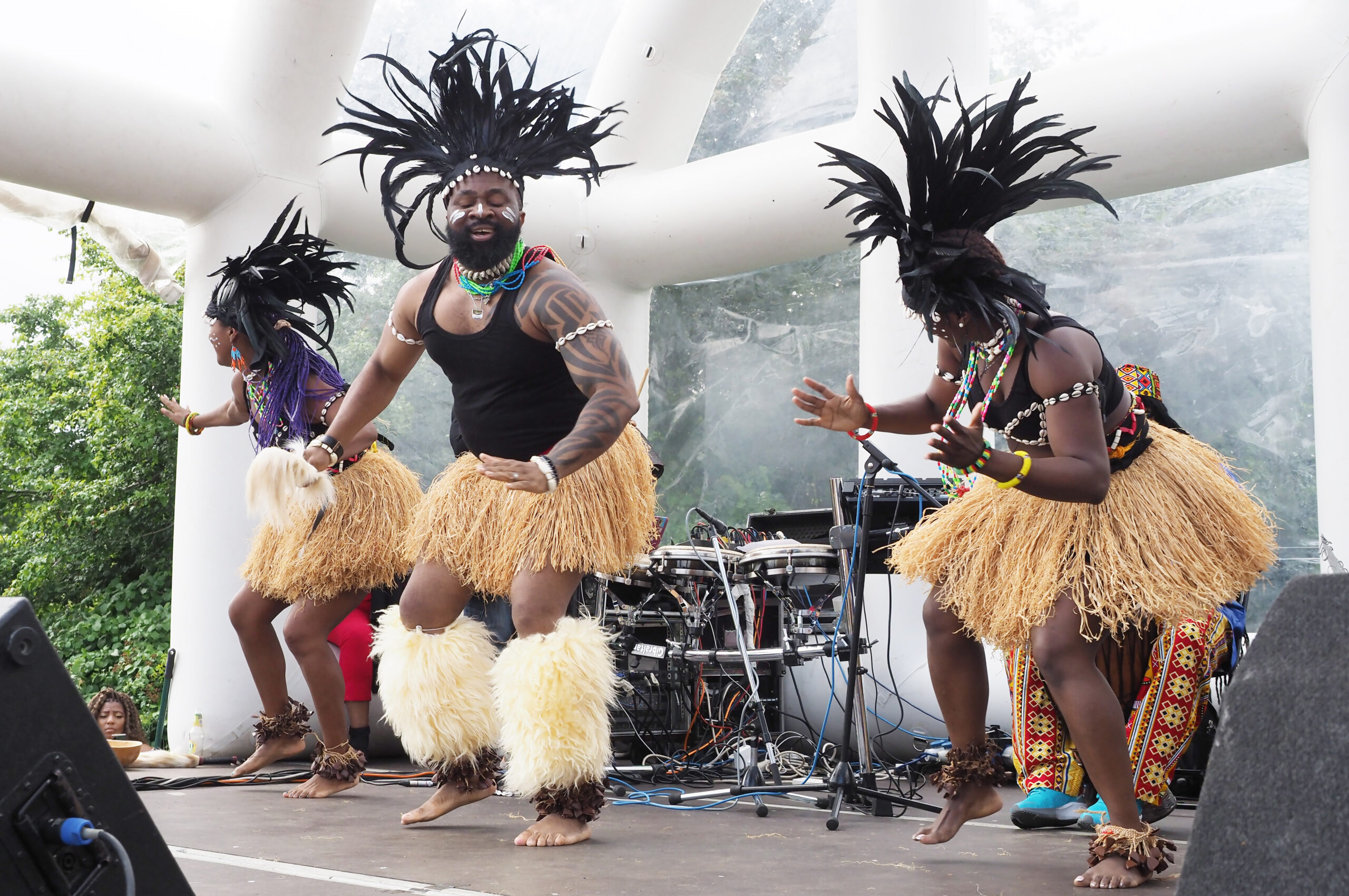 Luton Baako Festival 2025: A Star-Studded Celebration of African and Caribbean Music & Culture